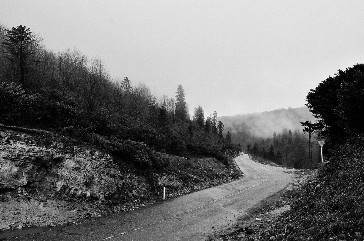 Туман и дорога